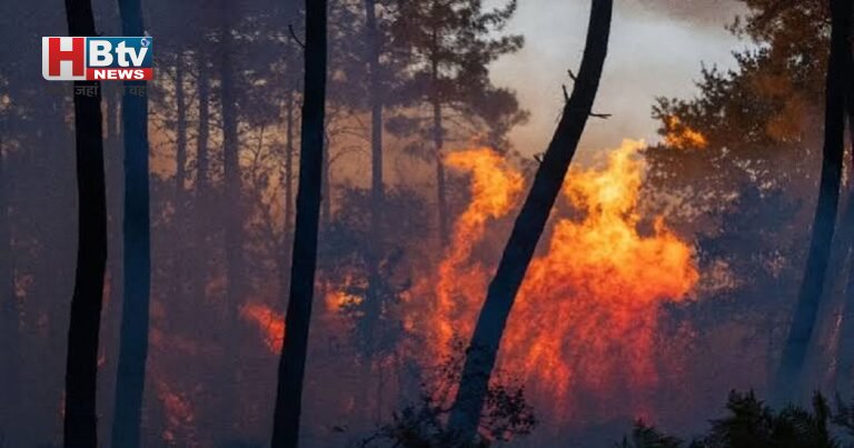 France Wildfire News: फ्रांस में बेकाबू जंगल की आग, बोर्दो शहर से सिर्फ 15 किमी दूर पहुंची लपटें; राष्ट्रपति मैक्रों ने बताया ‘द्वितीय विश्व युद्ध के बाद सबसे भयावह संकट’