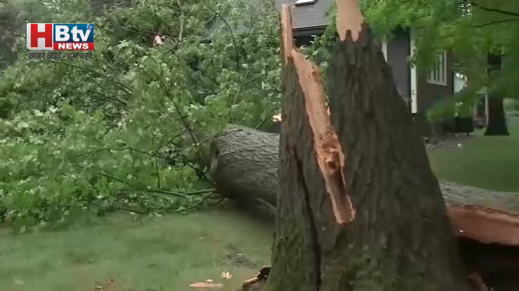 Hawaii Hurricane Lala Alert: 155 साल बाद Big Island पर सीधा खतरा, 120 KM/H की रफ्तार से बढ़ रहा तूफान
