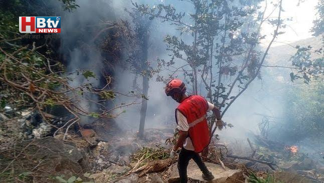 Kenya Helicopter Crash: सफारी के दौरान हेलीकॉप्टर हादसा, 7 लोगों की मौत; 5 अमेरिकी नागरिक शामिल