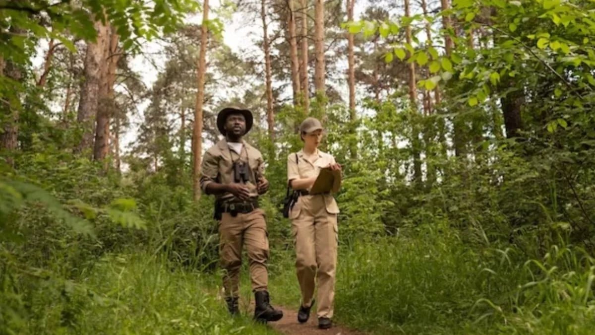 MP Forest Guard भर्ती: 5,935 उम्मीदवारों का फिजिकल टेस्ट 23-25 अक्टूबर तक 1 MP Forest Guard भर्ती में फिजिकल टेस्ट का आयोजन