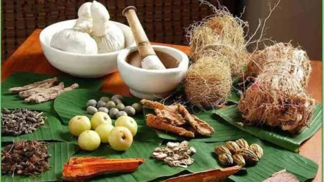 भोपाल में बनेगी प्रदेश की पहली सरकारी आयुर्वेद फार्मेसी, दवाएं आधी कीमत में 1 भोपाल में पहली सरकारी आयुर्वेद फार्मेसी का निर्माण