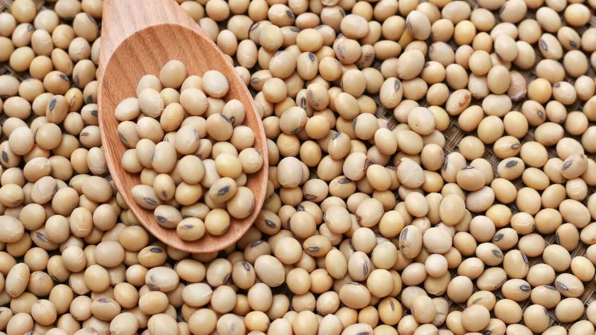 कपास-सोयाबीन एमएसपी पंजीकरण प्रक्रिया का प्रचार