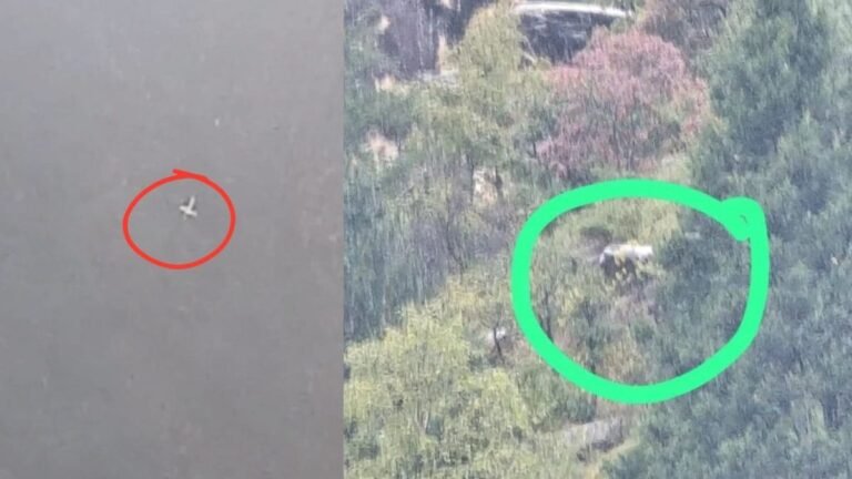 उत्तराखंड हेलिकॉप्टर लापता जोशीमठ के पास खोज अभियान