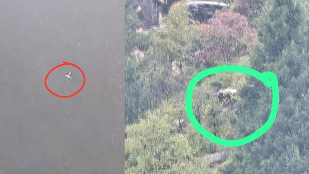 उत्तराखंड हेलिकॉप्टर लापता जोशीमठ के पास खोज अभियान