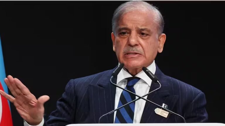 भारत ने संयुक्त राष्ट्र में जम्मू-कश्मीर PoK दावों को खारिज किया और PoK में बिजली और रोटी की समस्या उजागर की