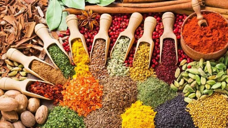इंदौर में मोबाइल लैब खाद्य जांच के लिए खड़ी